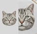 do embroidery digitizing files