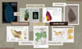 provide professional gis mapping, spatial analysis, and remote sensing services