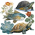 draw scientific animals, plants or encyclopedia book illustrations