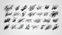 create lettering, script, calligraphy tattoo designs