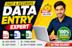do accurate data entry, copy paste, PDF to word and excel data entry