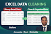 clean, format and organize excel data with accuracy