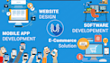 do software development, custom website backend, front end web developer