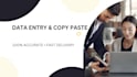 do accurate data entry, copy paste and web research work