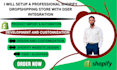 set up a professional shopify dropshipping store with dsers integration