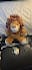 review or test your crochet pattern