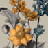 draw a botanical illustration