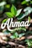 design a clean and natural name logo