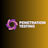 penetration testing and vulnerability assessment