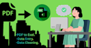 do accurate data entry and PDF to excel conversion