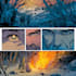 comic book illustration manga comic book illustration