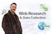 accurate web research and data collection in excel or google sheets