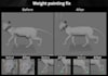 fix weight painting issues and do skinning work in maya