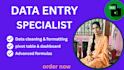 do excel data cleaning ,formatting and complex formulas