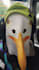chat with you as a witty, slightly chaotic seagull