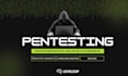 conduct penetration testing and vulnerability assessment
