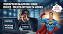 fix wordpress error, malware removal, wordpress virus removal, wordpress issues