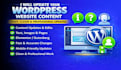 update your wordpress website content