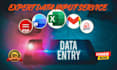operate your data entry system professionally