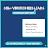 provide verified b2b lead generation