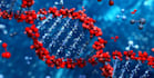 teach and help you with biochemistry and  anatomy