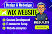 do wix website design, redesign business website, website development