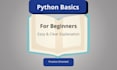 teach python basics for beginners in a simple way
