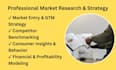 write an investor ready business plan and feasibility study