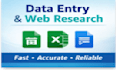 do accurate data entry, copy paste and web research