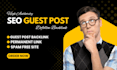 do premium SEO guest post dofollow backlink