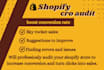 professionally audit your store to increase conversion