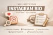 write a professional instagram bio that attracts followers