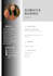 design professional CV and  resume design
