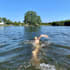 analyse your swim technique and provide personalised video feedback