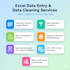 do accurate data entry and excel data cleaning