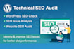 do technical SEO audit for wordpress websites, find issues, bugs