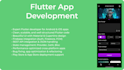 develop you complete flutter application
