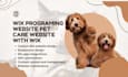 create wix programing website pet care website with wix