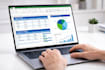do data entry fast, accurate, copypaste ninja