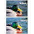 edit to enhance your photos