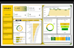 create professional power bi dashboards and visualizations