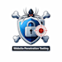 professional website penetration testing services