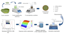 create a graphical abstract and scientific illustrations