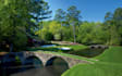 do anything golf related