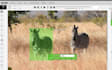 do keypoint, bounding boxes and mask segmentation annotation