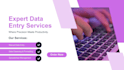 do accurate data entry, copy paste and excel data entry