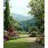 do backyard, frontyard, pool, patio as a landscape architect