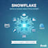 provide expert snowflake data analytics and warehouse optimization