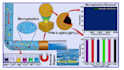 can design most attractive reseach graphics