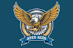 design wonderful style for eagle mascot logo